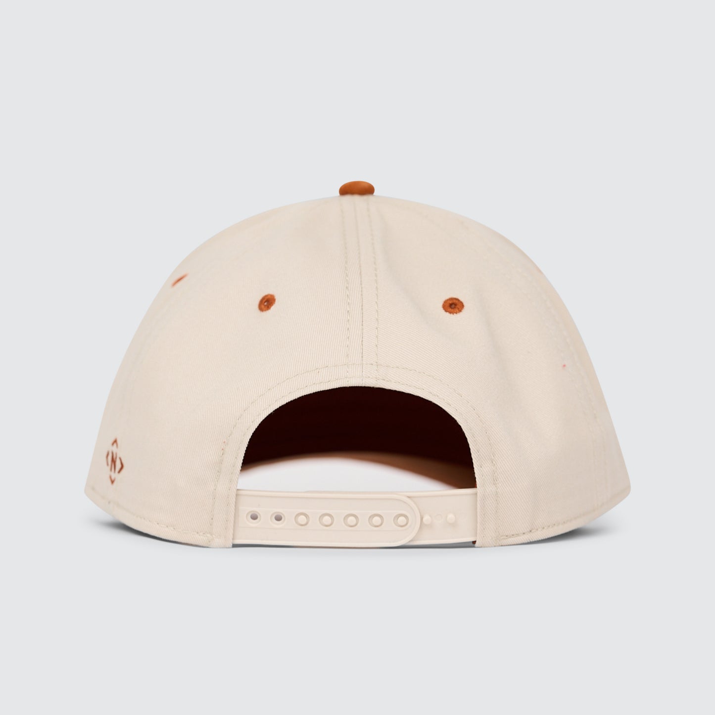 Upside Down NASH Suede Snapback
