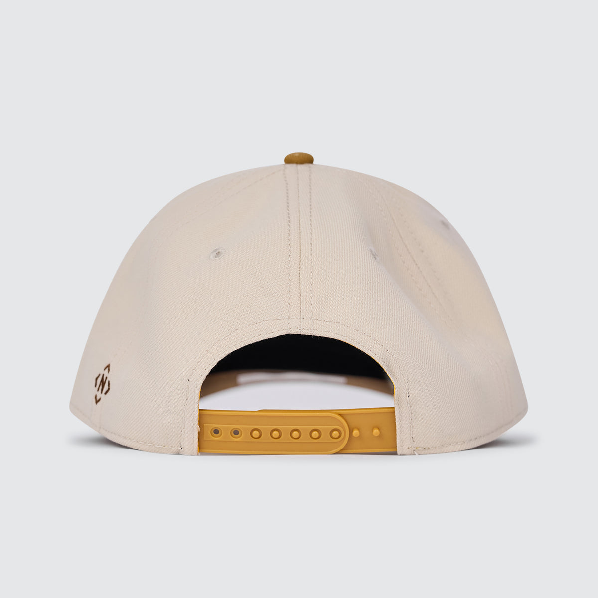 NASH Snapback