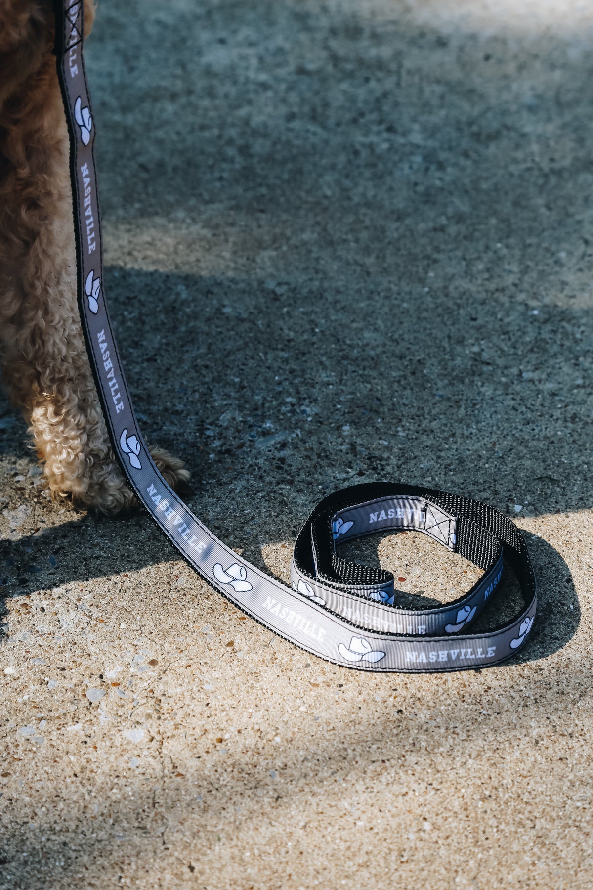 Dog Leash