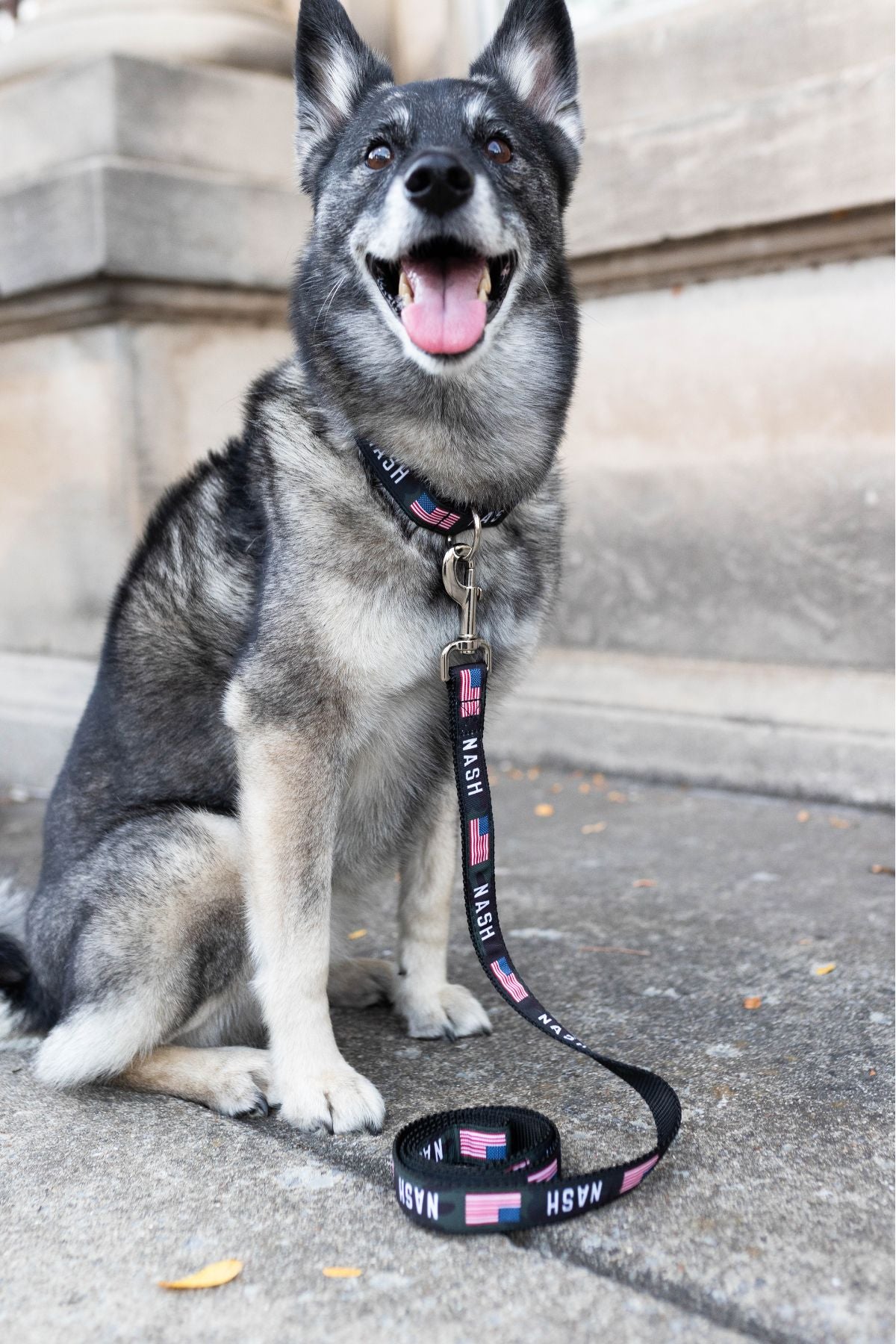 NASH Dog Leash [Multicam Black]