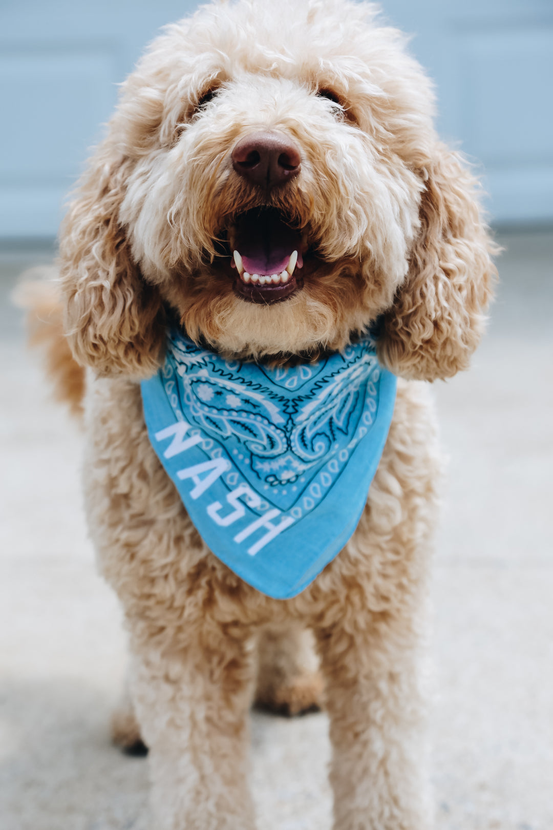 Nash Bandana [Light Blue/White]