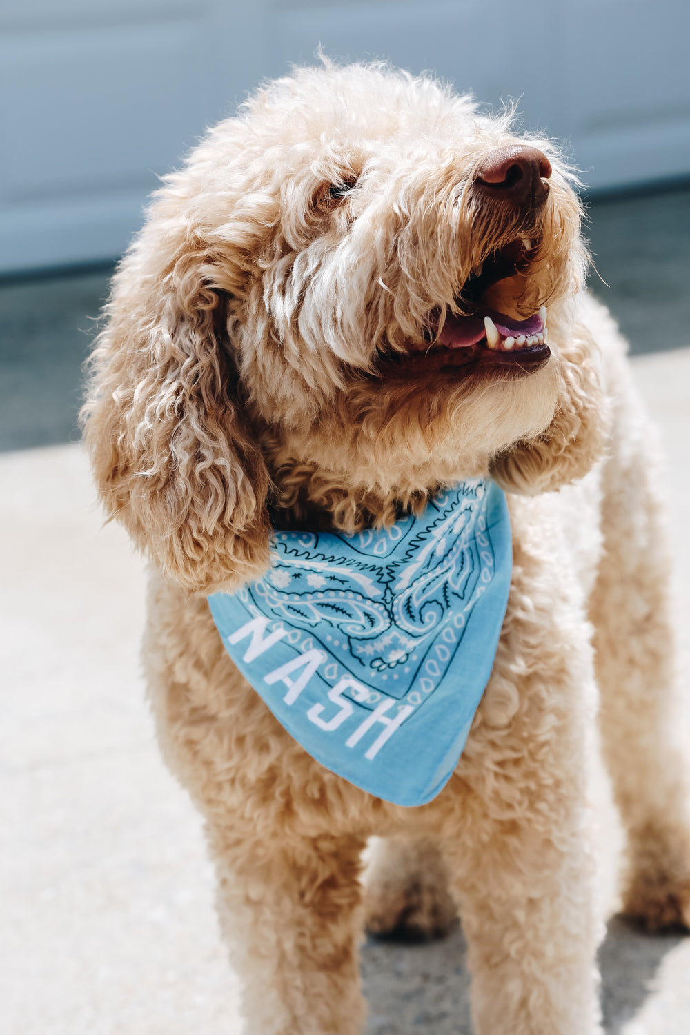 Nash Bandana [Light Blue/White]