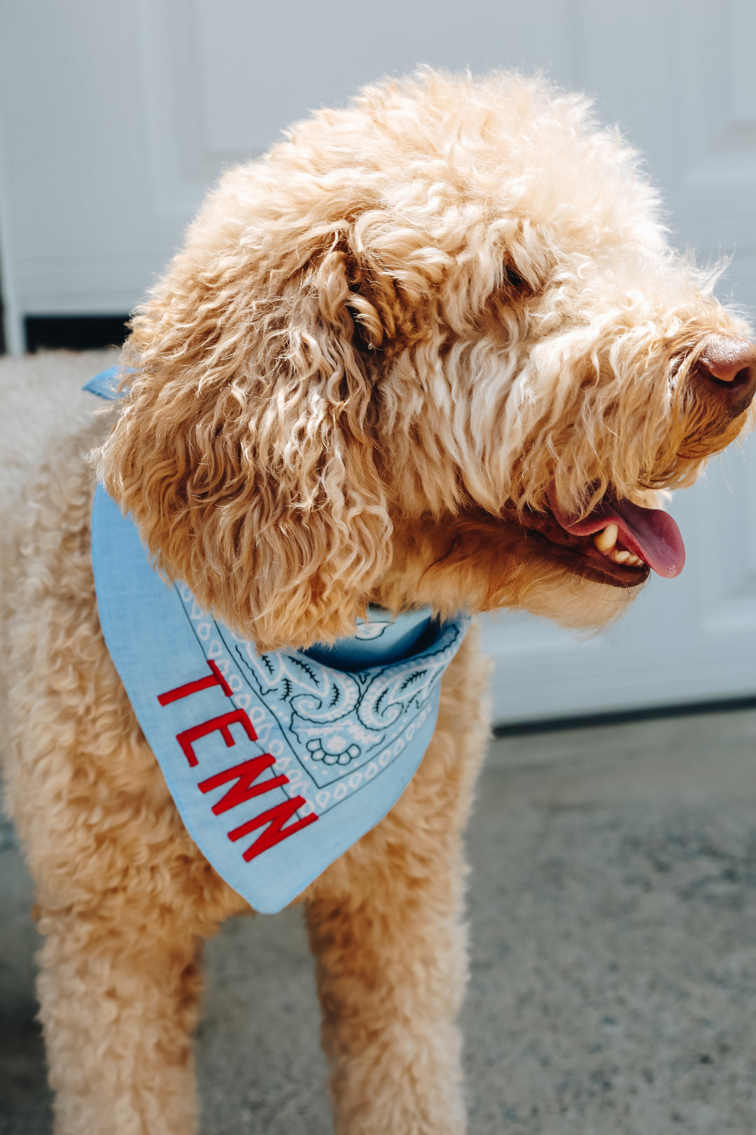 Tenn Bandana [Light Blue/Red]