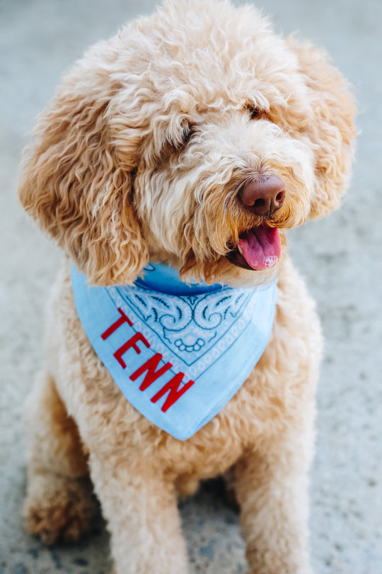 Tenn Bandana [Light Blue/Red]