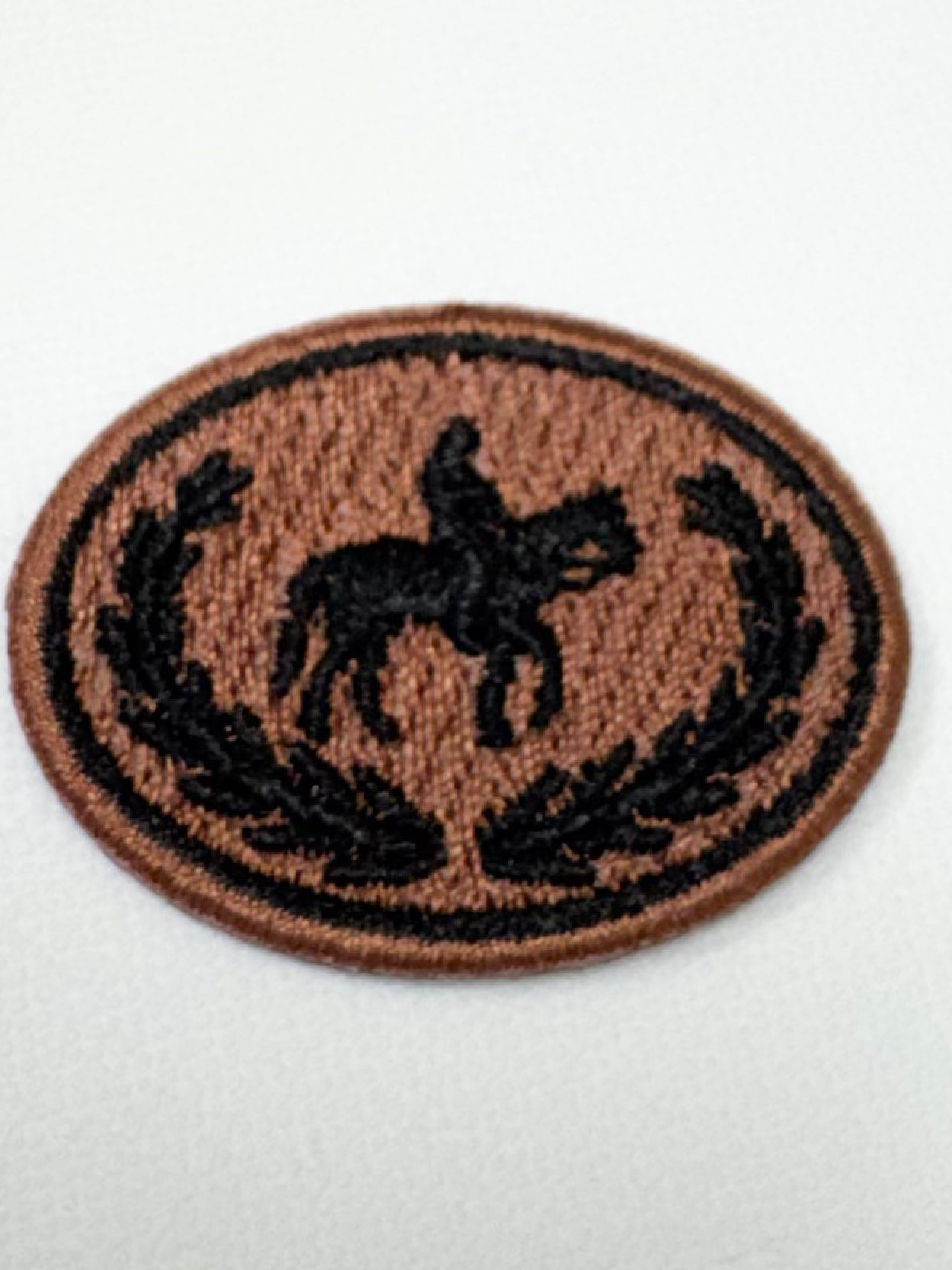 Horse Rider Patch