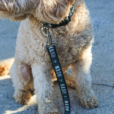 NASH Dog Leash [Olive]