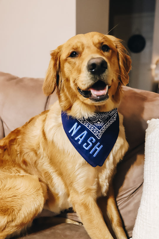 NASH Bandana [Navy/Light Blue]