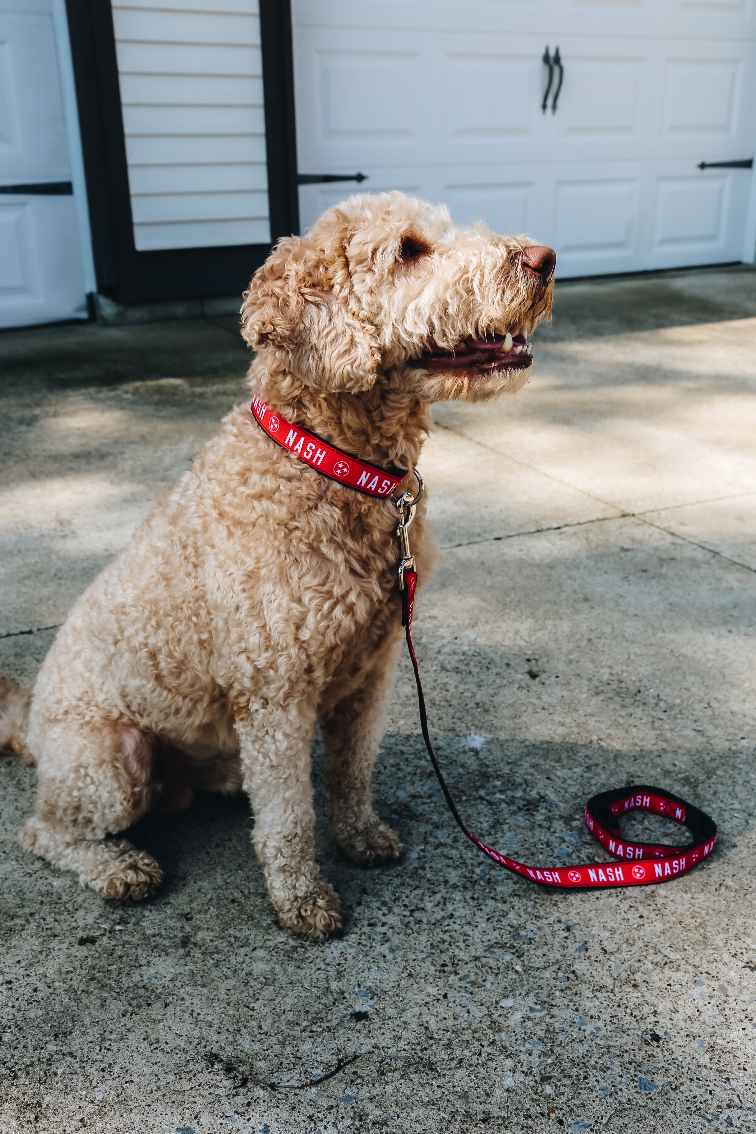 NASH Dog Leash [Red]