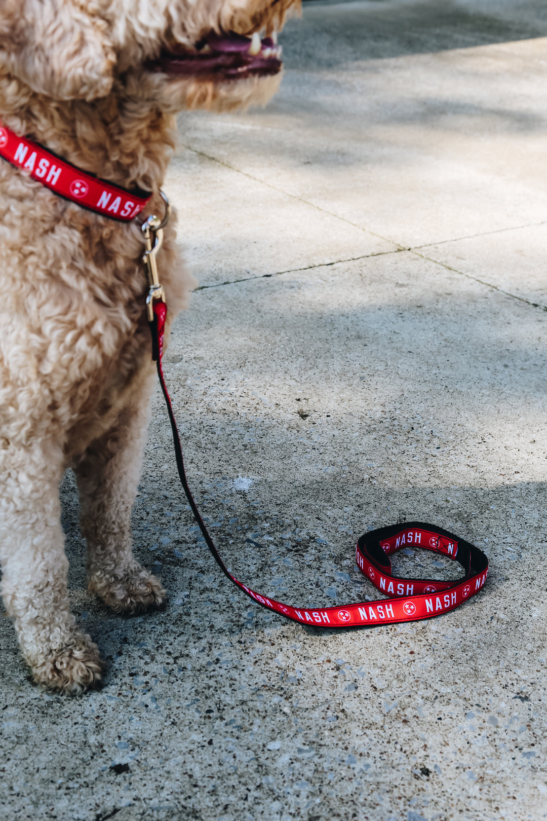 NASH Dog Collar [Red]