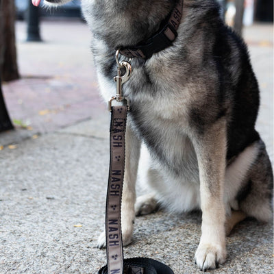 NASH Dog Leash [Brown]
