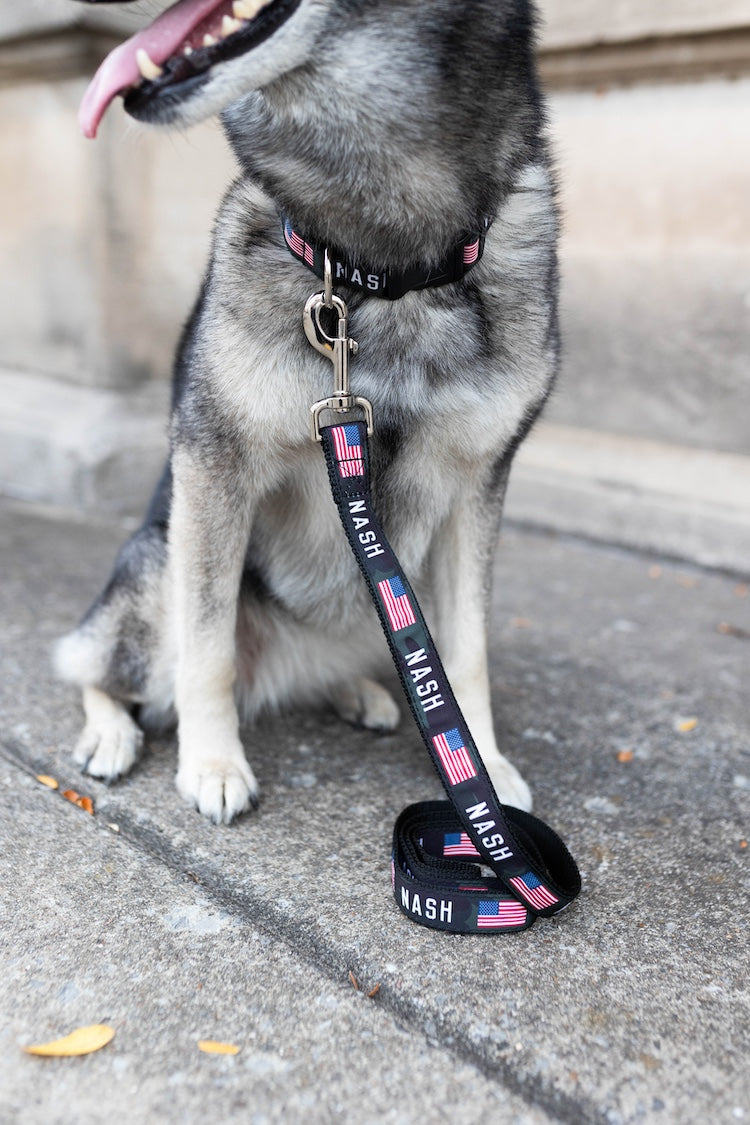 NASH Dog Leash [Multicam Black]