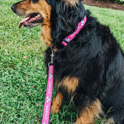 Nashville Dog Collar [Pink]