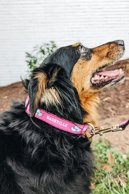 Nashville Dog Collar [Pink]