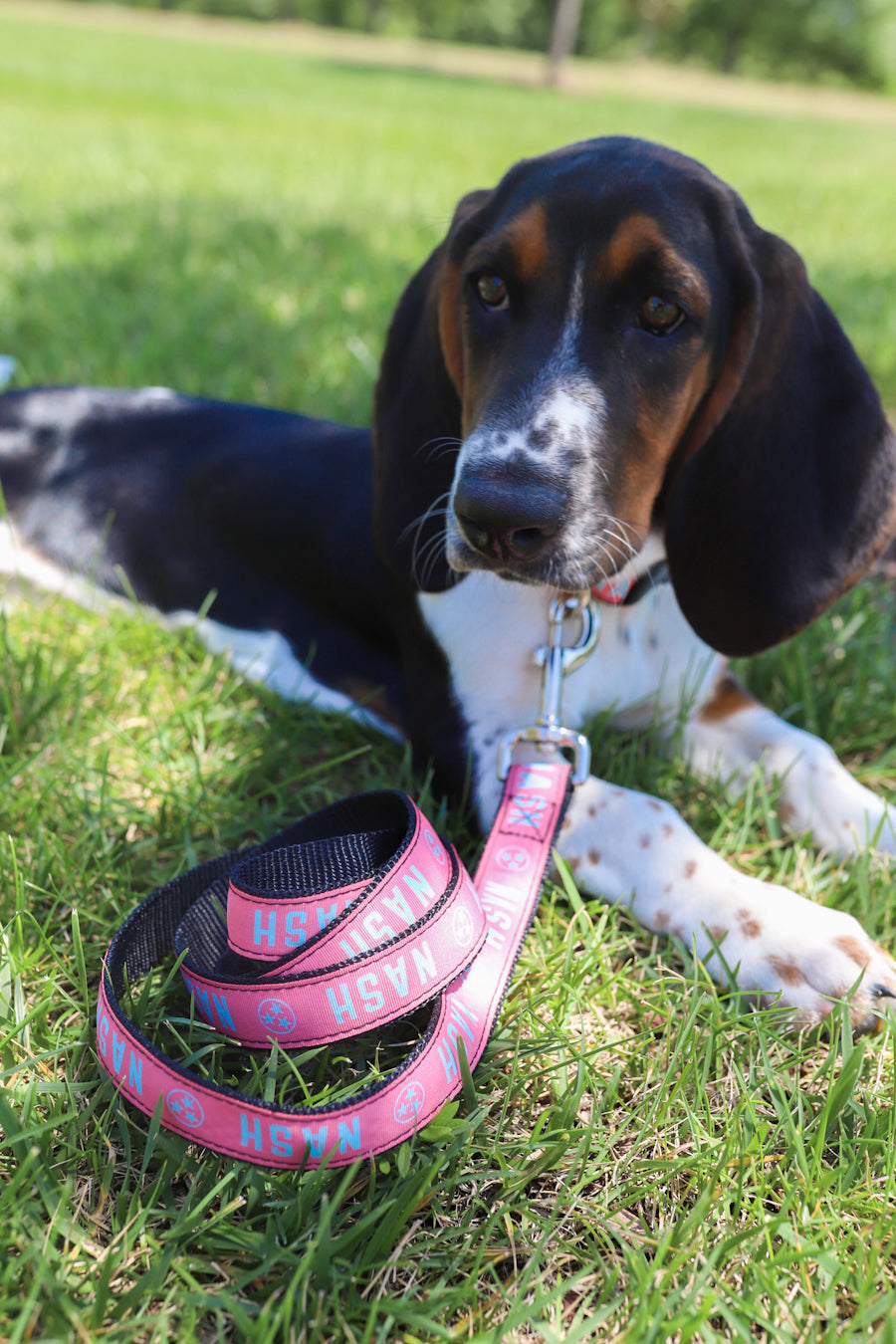 NASH Dog Leash