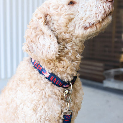 NASH Dog Collar [Flag]