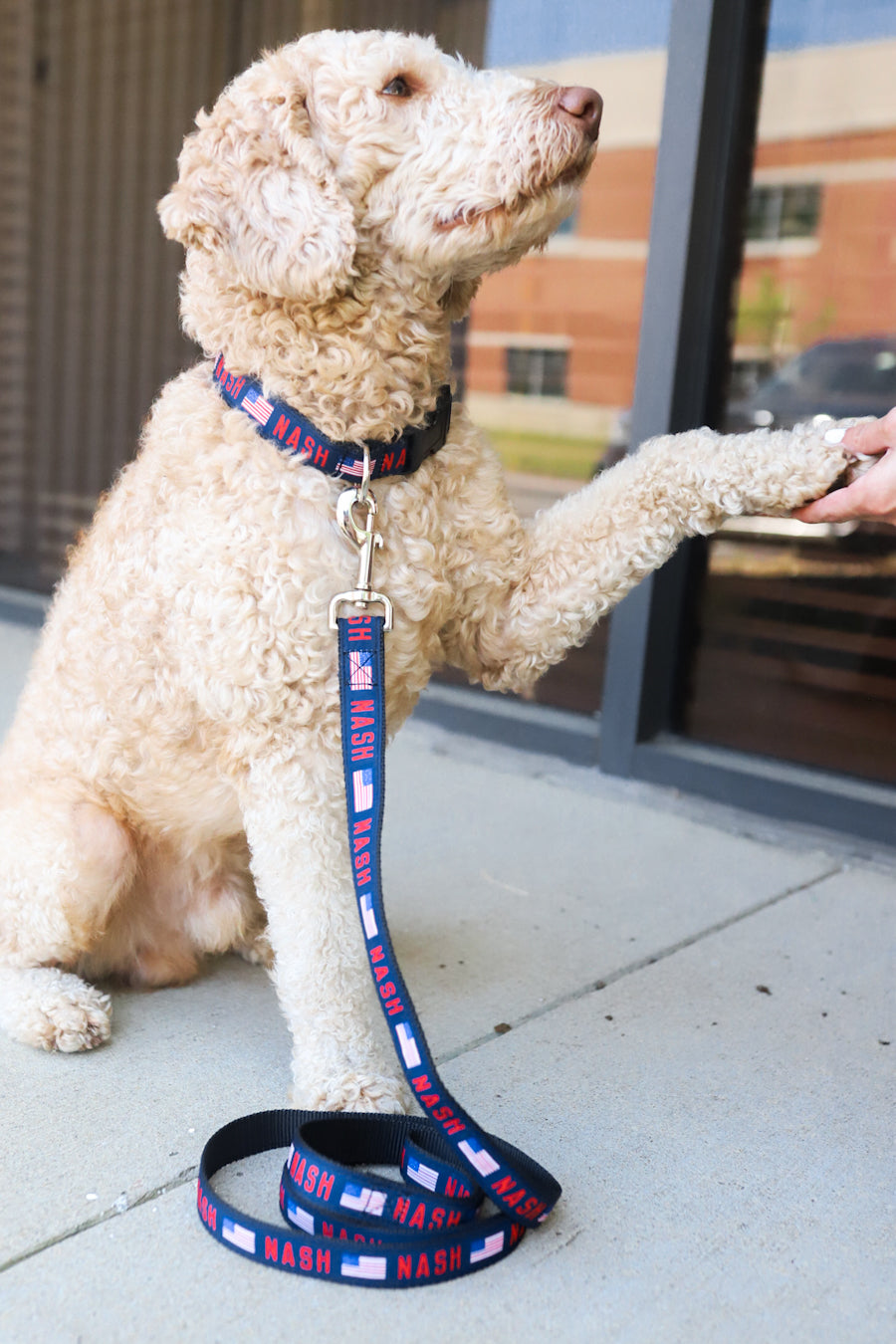NASH Dog Leash [Flag]
