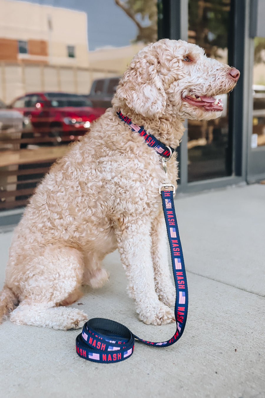 NASH Dog Leash [Flag]