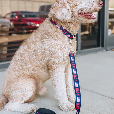 NASH Dog Leash [Flag]