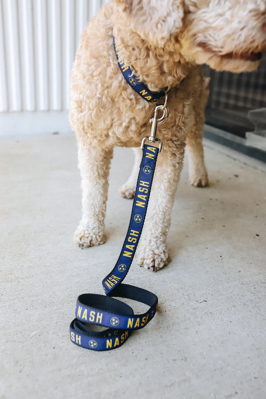 NASH Dog Leash [Navy/Gold]