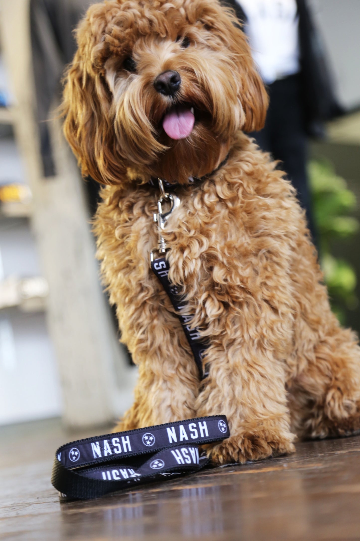NASH Dog Leash [Black/White]