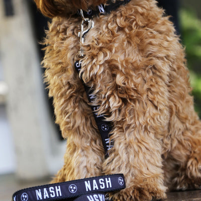 NASH Dog Leash [Black/White]