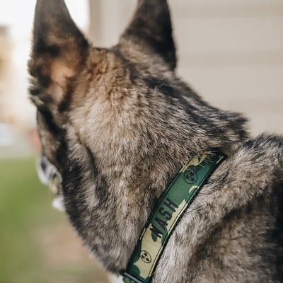 NASH Dog Collar [Camo]