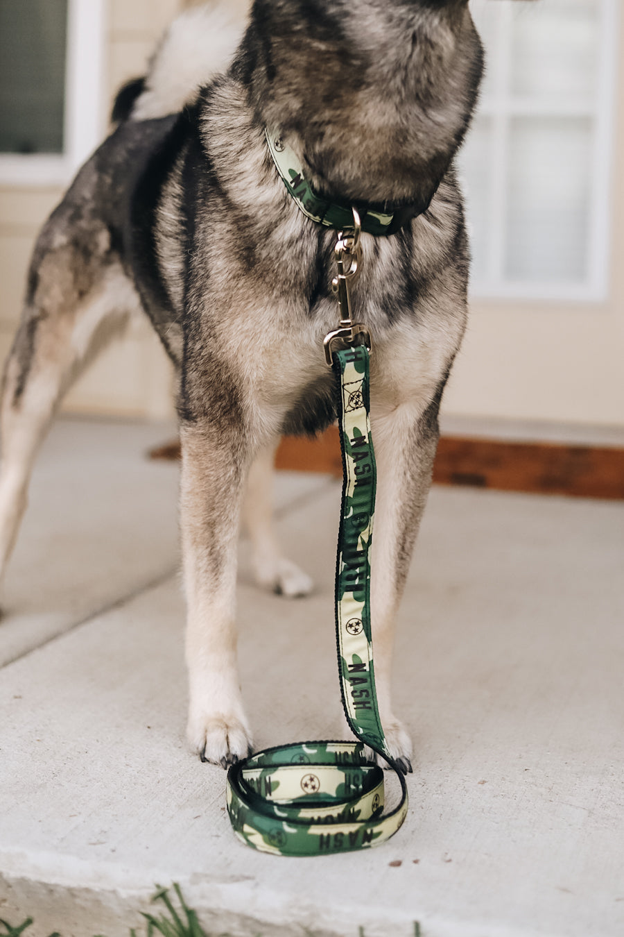 NASH Dog Leash [Camo]
