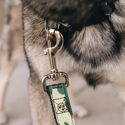 NASH Dog Leash [Camo]